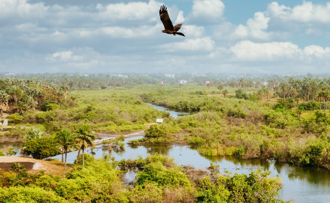 Nicobar Tribal Council Alleges FRA Violations in Great Nicobar Wildlife Sanctuaries